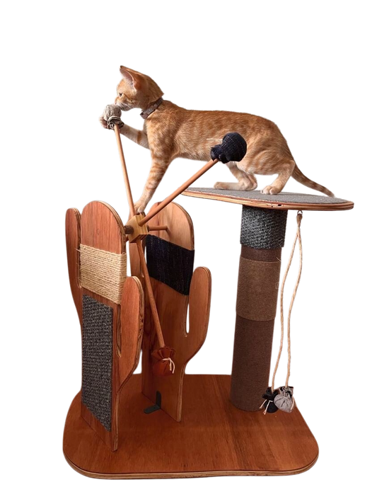 053cm | Rascador Gym